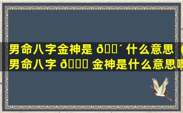 男命八字金神是 🐴 什么意思（男命八字 🐕 金神是什么意思啊）